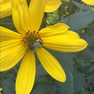 Meet your Posher, Carley